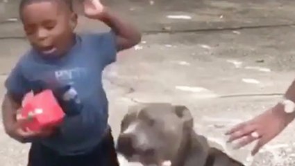 Not Ready For Doggy Kisses