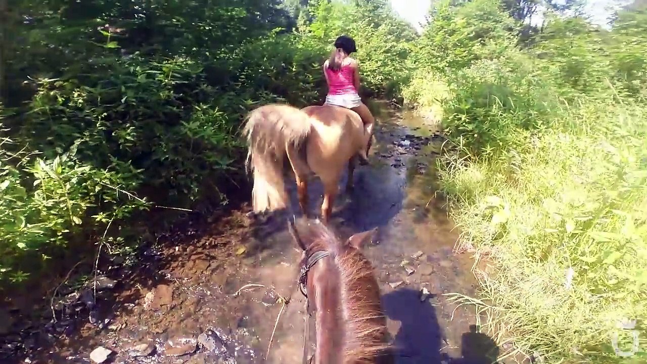 Ultimate Fail Compilation #2 | + Funny Moments  | Marina und die Ponys