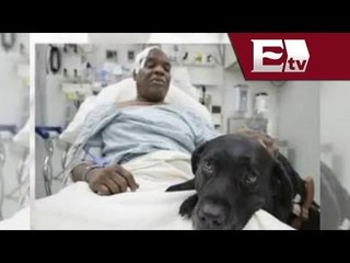 Perro salta a las vías del metro para salvar a su dueño / Global con José Carreño