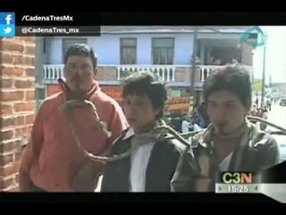 Casi los linchan por robarse un burro