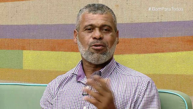 Qual a importância das abelhas?