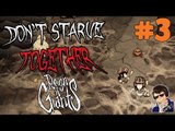 Don't Starve Together with Friends Gameplay [Season 3] - Let's Play - #3 (It's HUNTING TIME!)