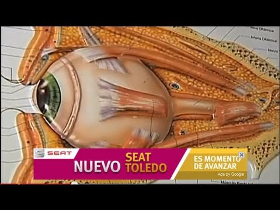 Cuidemos nuestros ojos