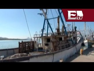 Suspenden actividad pesquera en Sinaloa por alto precio de diesel/ Titulares de la tarde