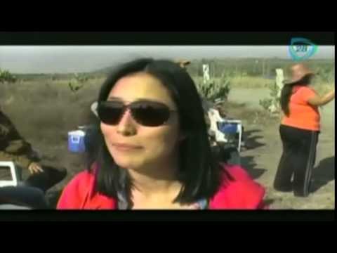 Sébastien Ogier conquista el Rally México 2015 en León