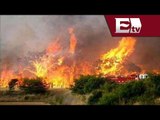 Incendio en Oaxaca consume al menos 100 hectáreas