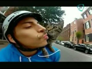 Gatito sale a pasear en el hombro de su dueño // Animales sorprendentes