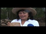 Hallan restos arqueológicos en Yucatán