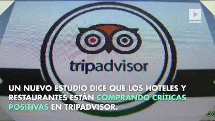 Investigación: una de cada tres reseñas en TripAdvisor son falsas