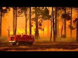 La ola de incendios en Australia