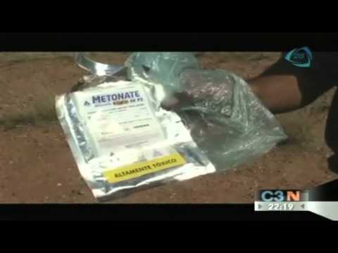 Fauna envenenada en Aguascalientes