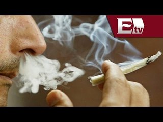 Iniciativa para despenalizar el consumo de marihuana a nivel local. Segunda parte / Opiniones
