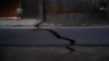 Footage Shows Moment Earthquake and Mud Waves Struck Central Sulawesi Village