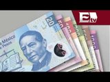 Reforma Fiscal y Economía en México. Segunda parte / Opiniones Encontradas
