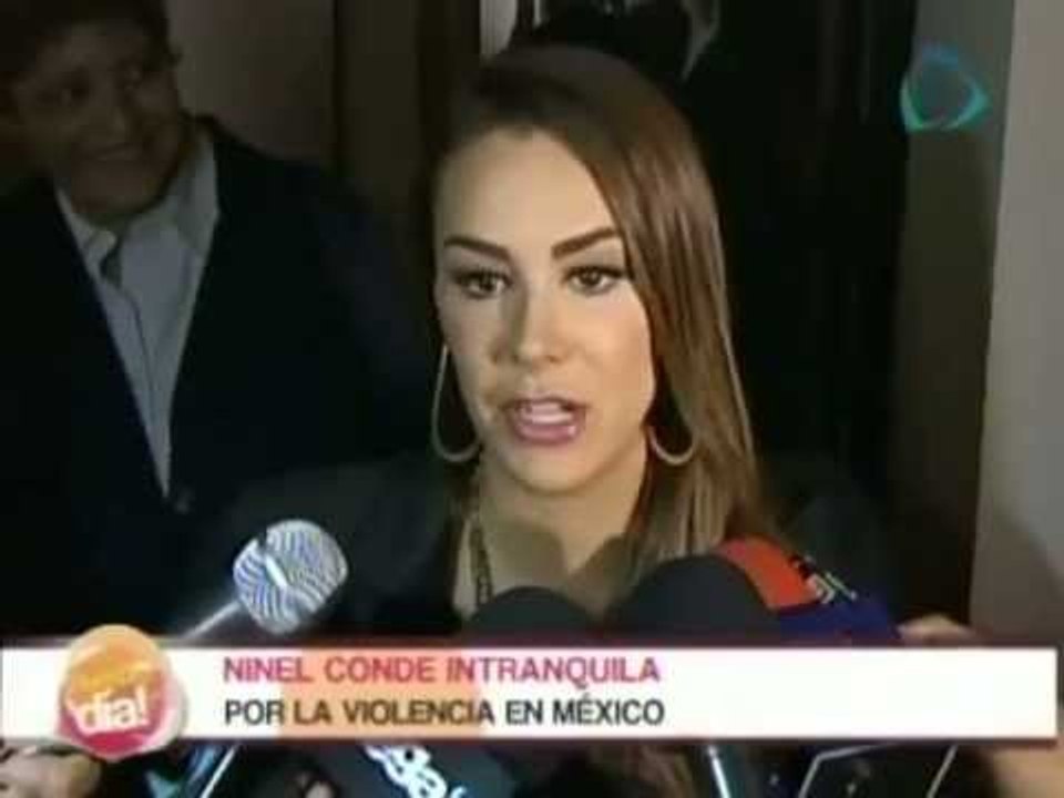 Ninel Conde vive con miedo por la inseguridad en México