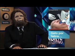 Mikorte Informativo 163 27/01/13