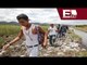 Habitantes de Michoacán abandonan sus hogares por la violencia / Todo México