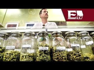 PRD propone aumento en portación y venta controlada de marihuana/ Comunidad Yazmin Jalil