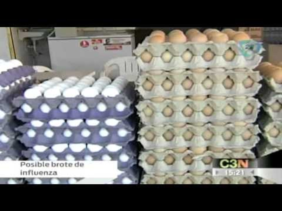Bachoco investiga sobre un posible brote de influenza aviar en Guanajuato. Cadenatres Noticias
