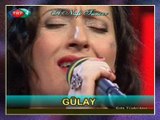 GÜLAY - Bilemedim Gıymatını Gadrini (HATA BENİM) (Bozlak)