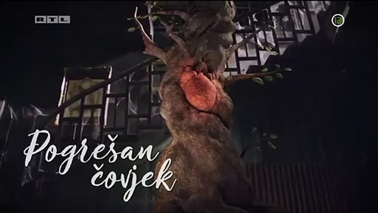 Pogresan covek 15 epizoda