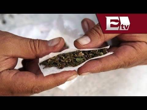 Legisladores del PRD buscan regular consumo de marihuana / Titulares con Georgina Olson