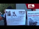 Denuncian zacatecanos golpiza contra perro; habría cárcel para golpeadores/ Titulares de la tarde