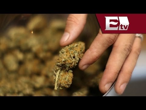 Legisladores del PRD llevarán al Senado iniciativa sobre la marihuana / Ricardo y Gwendolyne