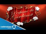 ¡EXCLUSIVA! Entrevista con el elenco de la obra Perfume de Gardenia