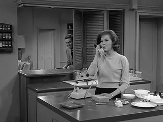 The Dick Van Dyke Show S02 E30