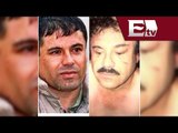 Chapo Guzmán: Historia delictiva de Joaquín Guzmán Loera / El Chapo Guzmán 2014