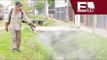 Jalisco reporta 143 casos de dengue en 2014; piden tomar precauciones/ Titulares de la tarde