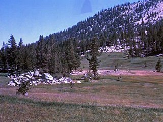 Bonanza  S01E22 - Blood on the Land