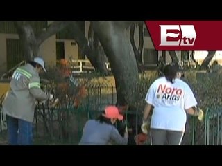 Realizan limpieza urbana en la delegación Gustavo A. Madero/ Comunidad Yazmin Jalil