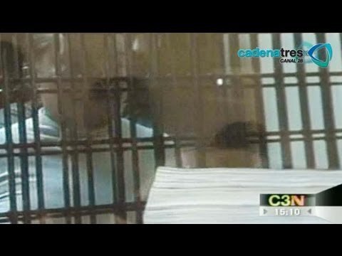 Elba Esther Gordillo tras las rejas escucha los cargos que se le imputan. Elba tras las rejas