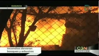 Incendio forestal consume grandes extensiones de bosques y pastizales en Oaxaca