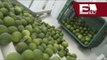 Profeco suspende establecimientos donde se vende limón / Martin Espinosa