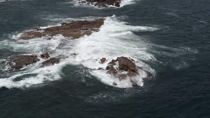 Sea - #낙태가능한병원 [낙태비용 ssuu22299@gmail.com  ~메일로 문의하세요.] 낙태수술가능한병원