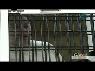 El juez define hoy la situación jurídica de la maestra. Elba Esther Gordillo tras las rejas