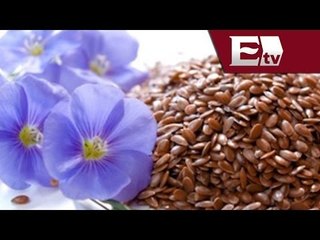 Linaza para bajar de peso / Salud con Gloria Contreras