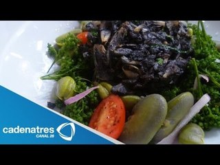 Ensalada de Habas y huitlacoche con vinagreta de miel de agave