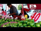 Precio del limón comenzará a bajar: Rogelio Garza / Ricardo Salas