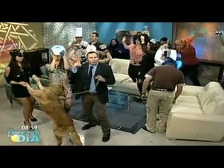 Harlem Shake del programa "Al Empezar el Dia"