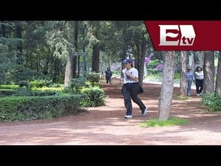 Download Video: Medio Ambiente trabajará contra inseguridad en el Bosque de Tlalpan / Vianey Esquinca