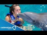 Nado con delfines / Nado con delfines para quitarse el estrés
