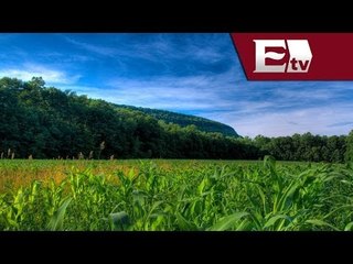 Entrevista con Ricardo Maggio, director general de ACCO México / Darío Celis