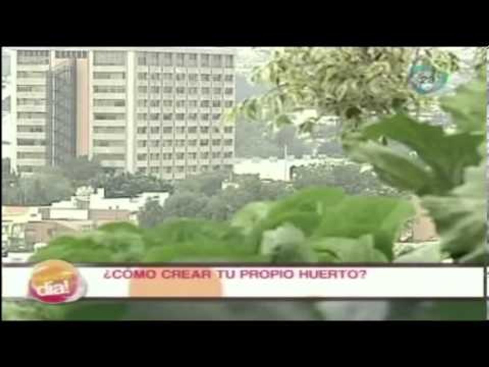 ¿Cómo crear tu propio huerto?