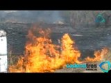 Incendios afectan a dos bosques de Morelos; registran 144 siniestros activos en el país