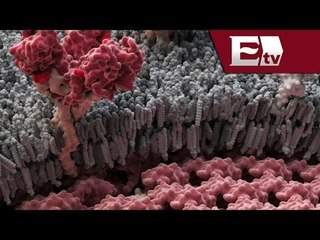 Alerta por el Èbola en Guinea: Gobierno de Francia / Salud con Gloria Contreras