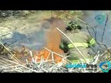 Contabilizan 2 mil muertos por incendios forestales en 2012; aumentan siniestros en Veracruz